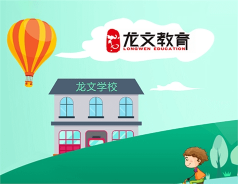 广州龙文教育科技有限公司网站建设项目